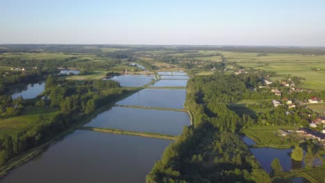 Vista-Aérea-De-Campos-De-Arroz-Inundados-En-Polonia-En-Primavera