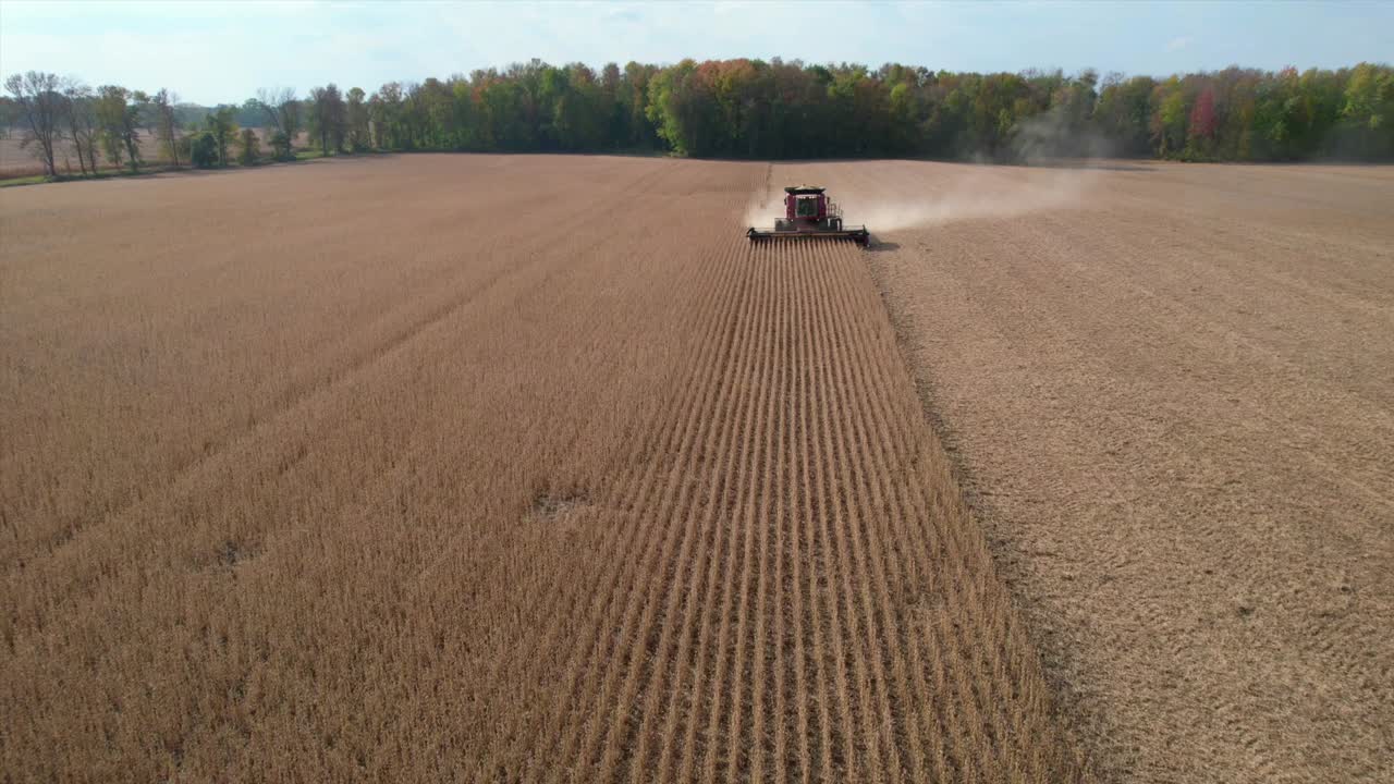 Un agricoltore raccoglie un raccolto di soia nel Wisconsin nord-orientale