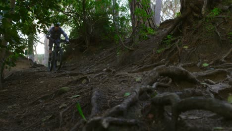 Man-riding-bicycle-in-forest-4k