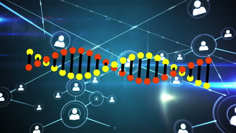 animación de conexiones y procesamiento de datos a través de la cadena de adn.