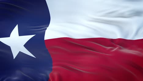 texas (u.s. state) flag waving in the wind with highly detailed fabric texture. seamless loop