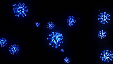 blue glowing holographic image of coronavirus like covid-19 virus or influenza virus flies in air or float smoothly on black background. 3d animation in 4k looped. for informational presentation.