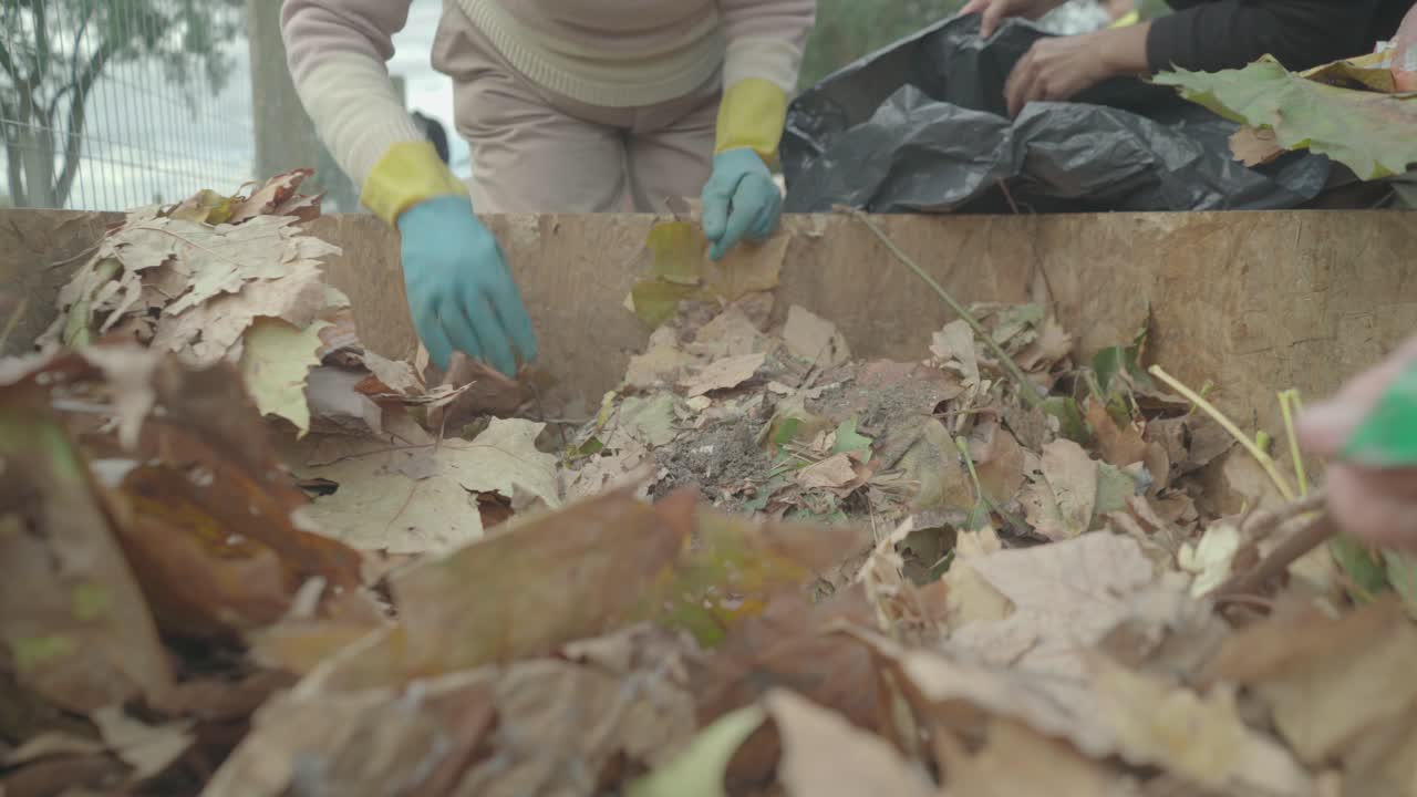 Women prepare a home wooden compost heap box. With their hands they remove the plastic from the natural elements.