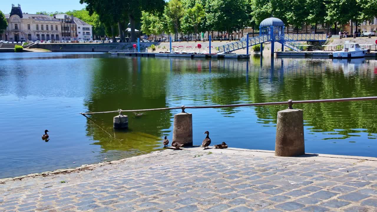 The camera moves forward toward ducks swimming and resting by the Mayenne River in Laval, with the Boston Square in background and a boat dock visible across the water