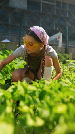 teenager gardening in an urban garden