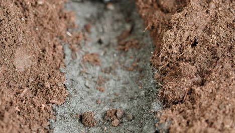 close-up of a planting hole filled with soil