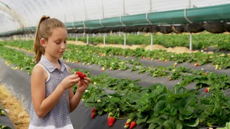 girl eating strawberry in the farm 4k