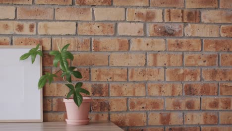 wooden frame with copy space on white background with plant against brick wall