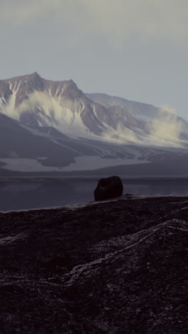 lonely rock in a vast arctic landscape