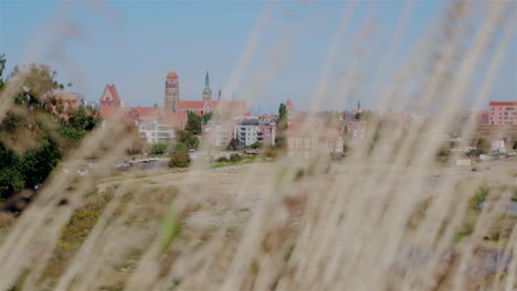 Wehendes-Gras-Im-Vordergrund-Und-Schöne-Skyline-Von-Danzig-Im-Hintergrund-An-Windigen-Sommertagen