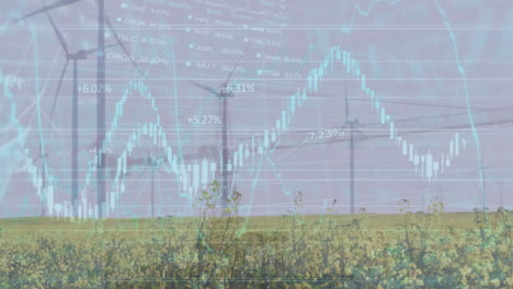 Animation-Von-Diagrammen,-Wechselnden-Zahlen-Und-Handelstafel-über-Sich-Drehenden-Windmühlen-Auf-Grasland