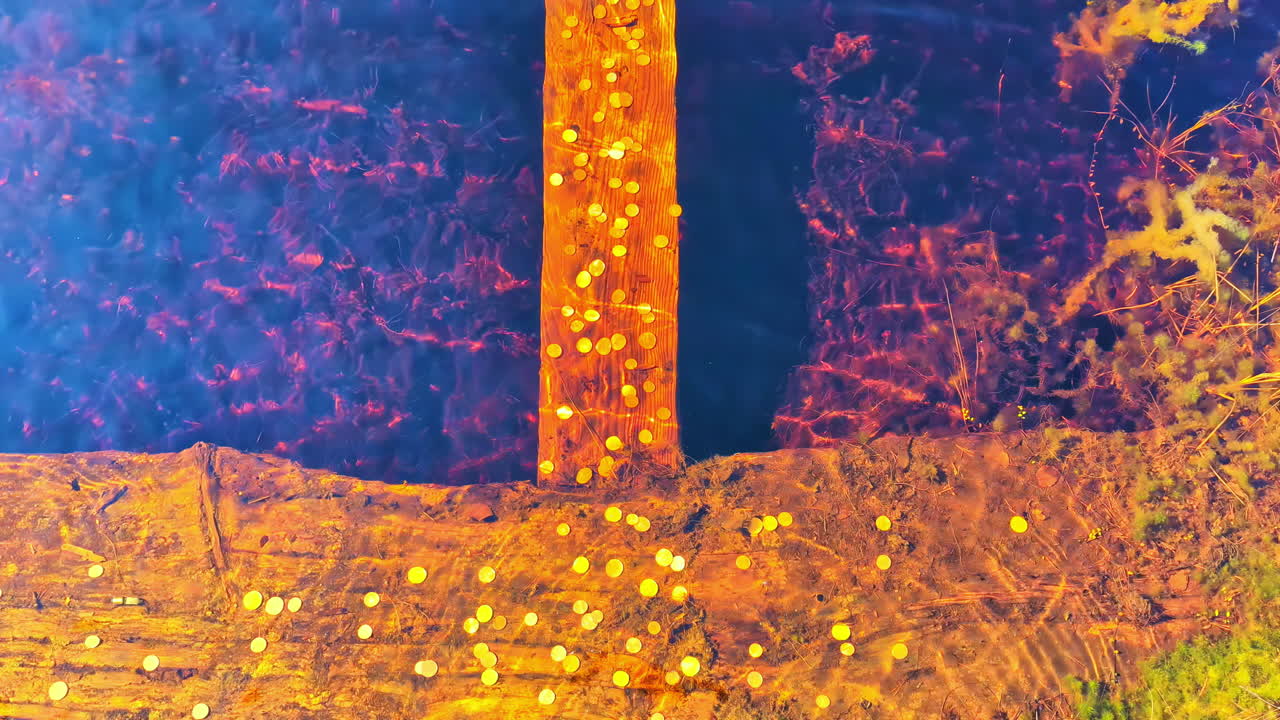 agua clara en el estanque con algas de musgo rojo y monedas reunidas en una viga de madera para la buena suerte