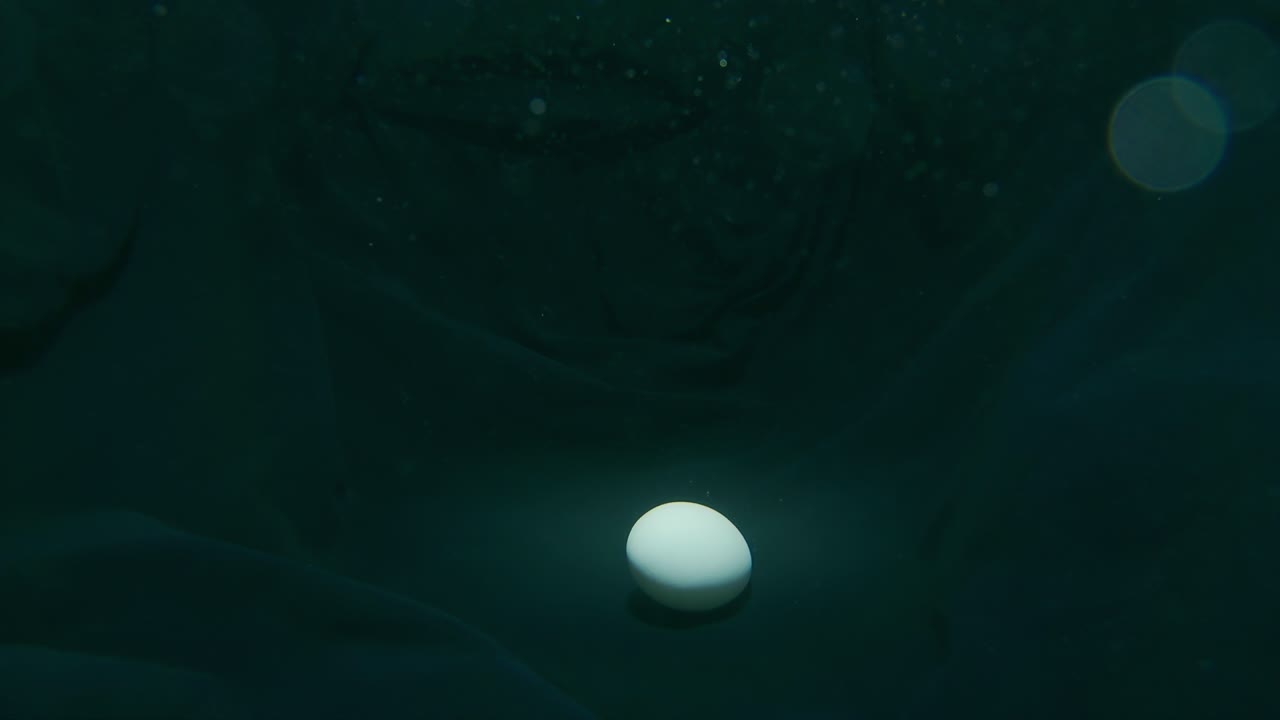 Streamline egg shaped spaceship lands underwater. Gravitational emanate from UFO