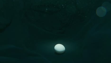 streamline egg shaped spaceship lands underwater. gravitational emanate from ufo