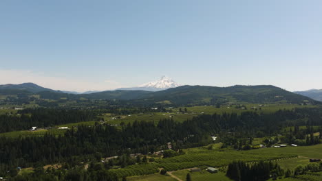 Drone-Disparó-Sobre-El-Campo-Con-La-Montaña-Nevada-De-Mt-Hood-Al-Fondo