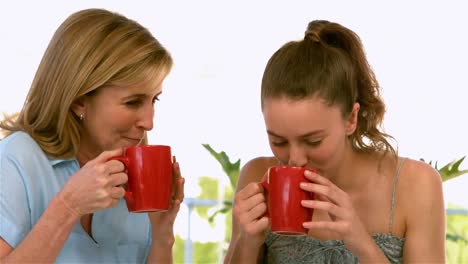 Mother-and-daughter-drinking-and-talking