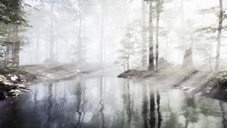 Early-morning-white-dense-fog-covering-the-pond