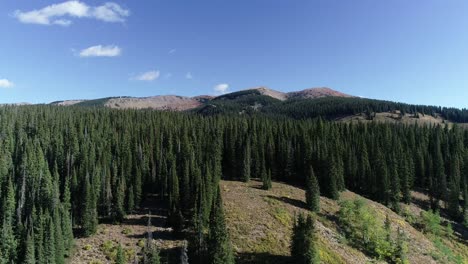 mountains of colorado near crested butte 2019