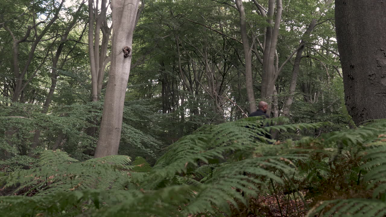 hombre caminando por el bosque, de izquierda a derecha.