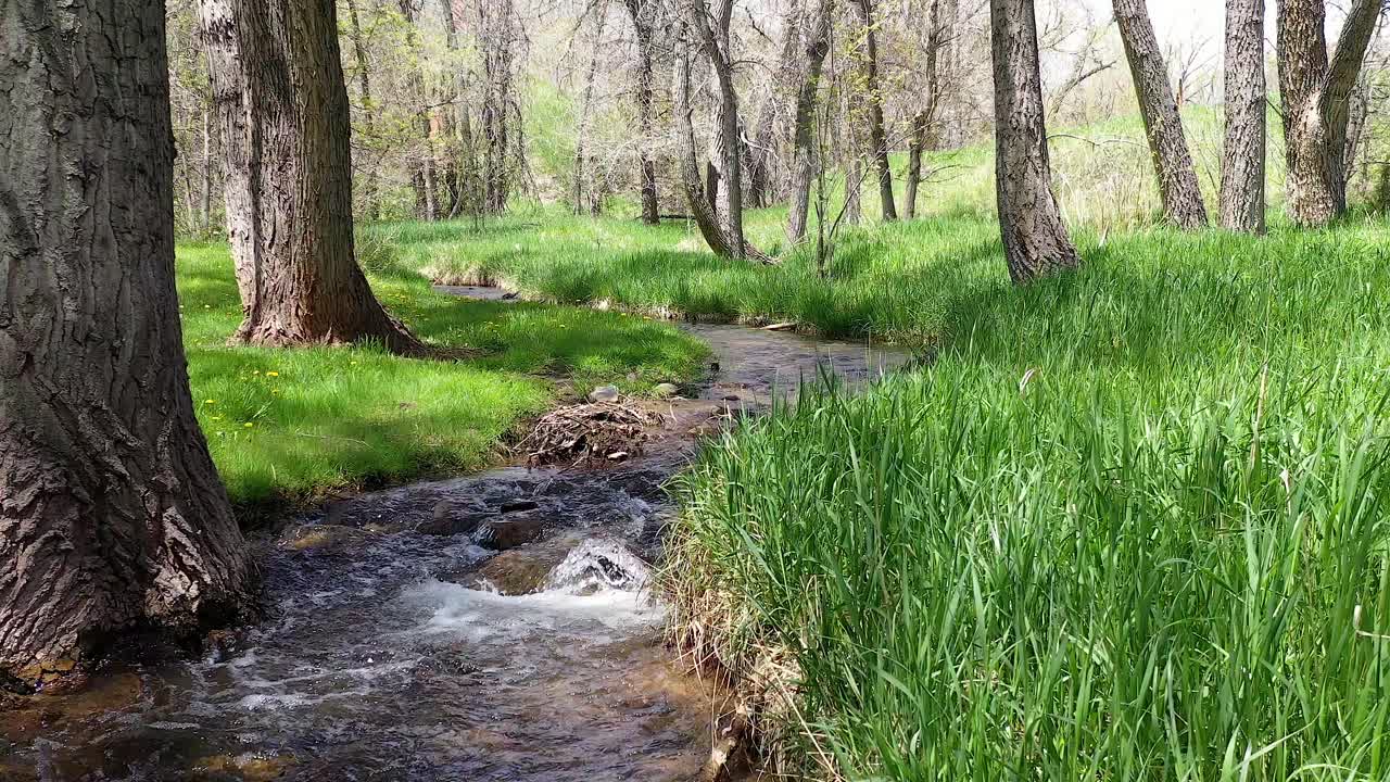 Rekaman Udara Melintasi Anak Sungai Kecil di Colorado