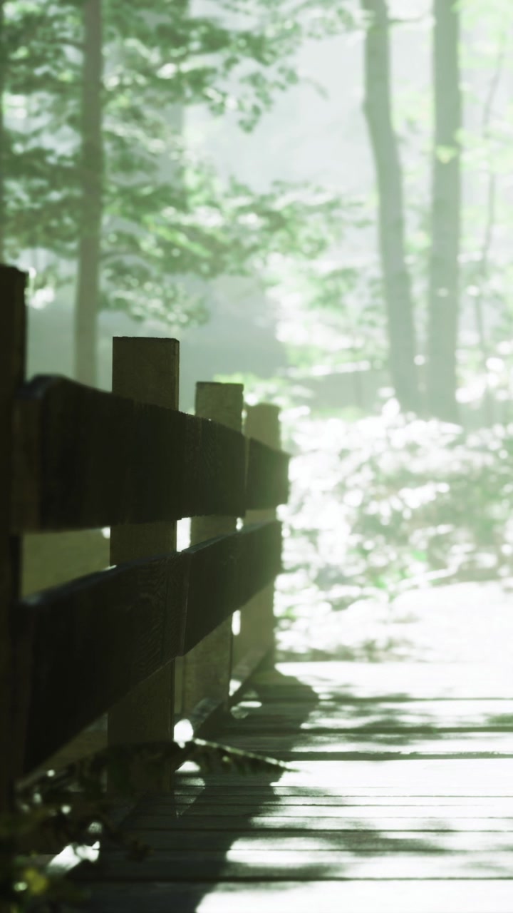 Wooden fence along a path in a forest with sunlight filtering through trees