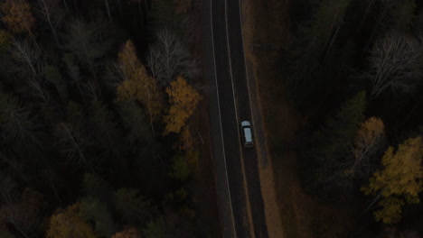 The-car-drives-along-a-road-covered-with-autumn-leaves,-among-golden-trees-and-bare-branches,-the-drone-flies-off-the-road-towards-the-forest,-West-of-Russia