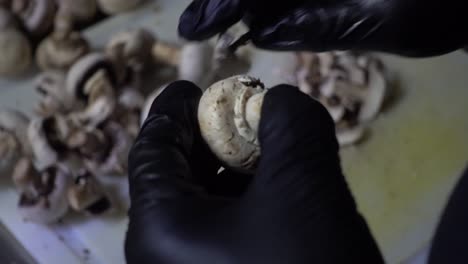 hand-held shot of a chef preparing mushroom ready to be cooked