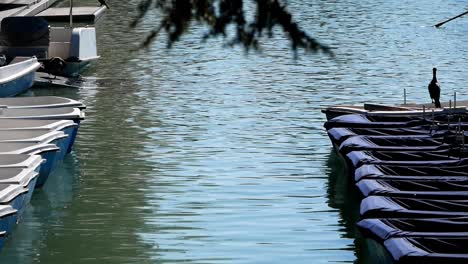 dock at the big pond in el retiro park, madrid