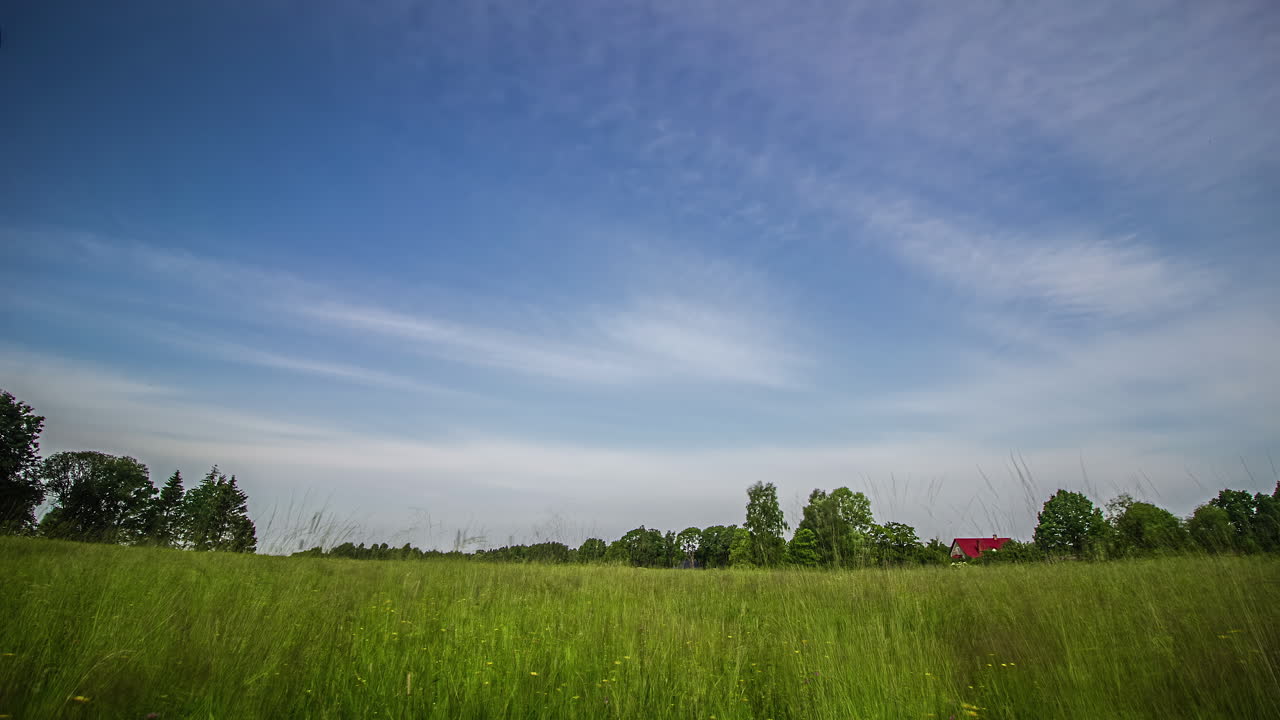 잔디 필드 흰 구름과 나무와 배경에 빨간 오두막과 푸른 하늘의 timelapse