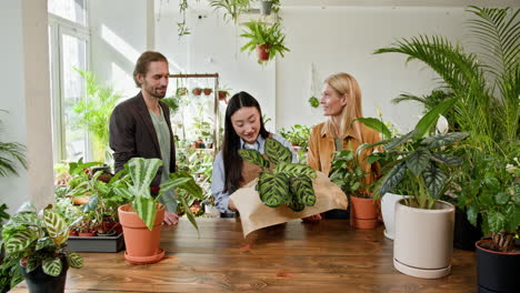 friendly plant shop encounter