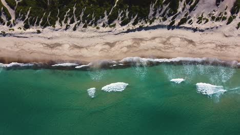 Toma-Aérea-De-Drones-De-Las-Dunas-De-Arena-De-La-Playa-Birdie-Agua-Cristalina-Budgewoi-Munmorah-Área-De-Conservación-Estatal-3840x2160-4k