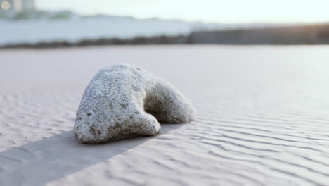 old white coral on sand beach