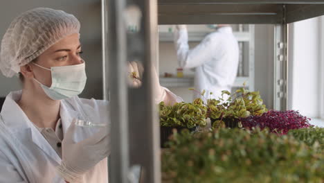 scientist examining microgreens in a laboratory setting