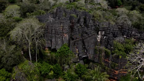 rising drone footage of a rock formation overgrown by bush and palm trees