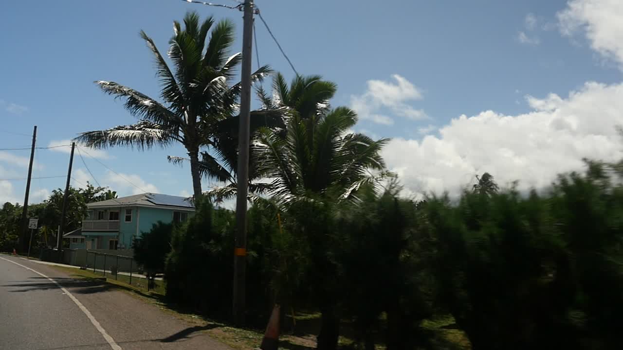 주거용 건물과 정원 조경을 위한 수입 야자수가 있는 라이에 근처의 노스 쇼어 오아후의 관점 모션 샷