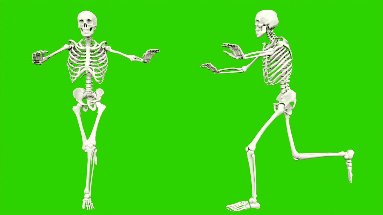 el esqueleto corre. animación de bucle sin costuras en pantalla verde.