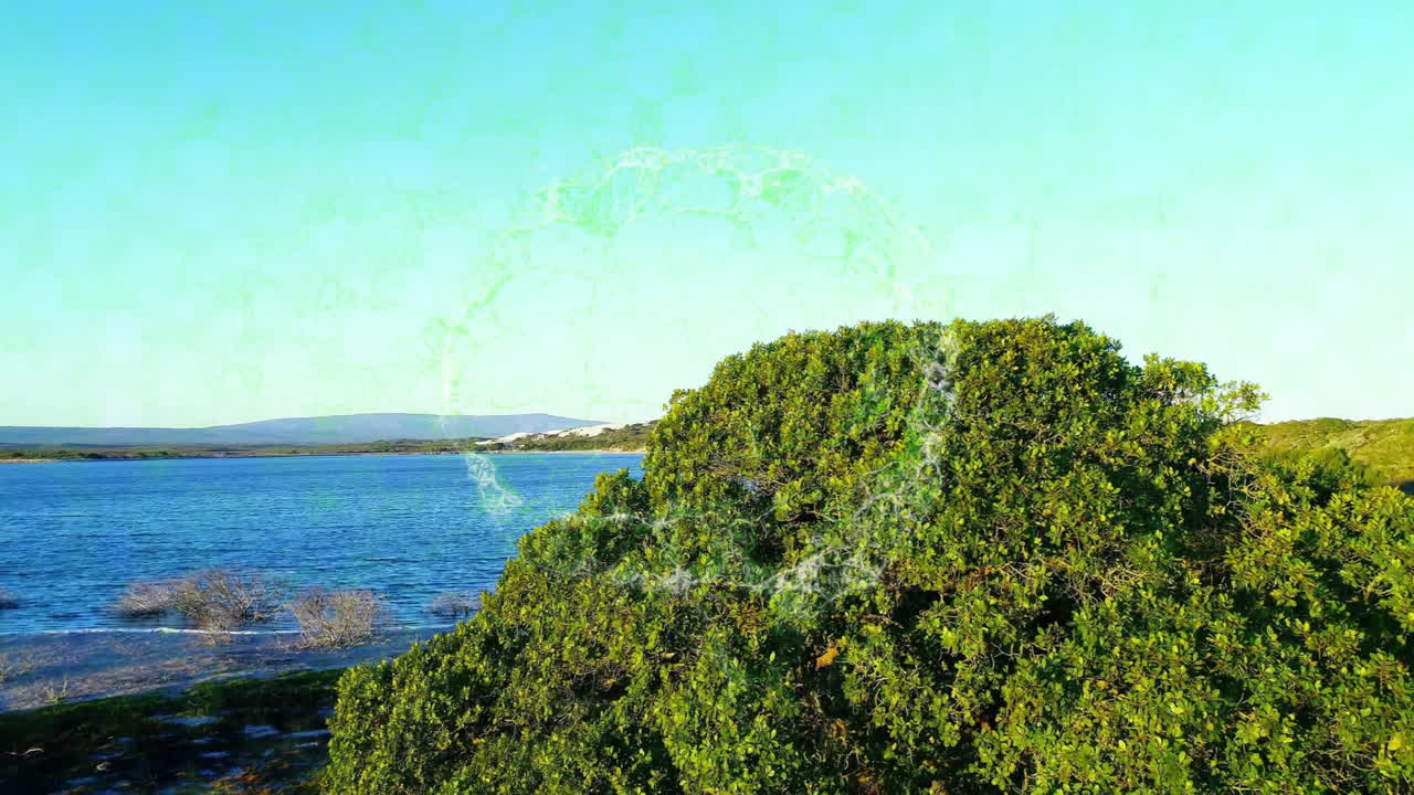 Green trees by lake with circular digital animation overlaying scene