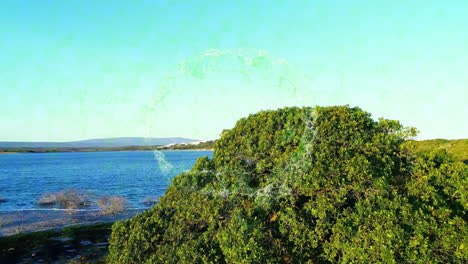 green trees by lake with circular digital animation overlaying scene