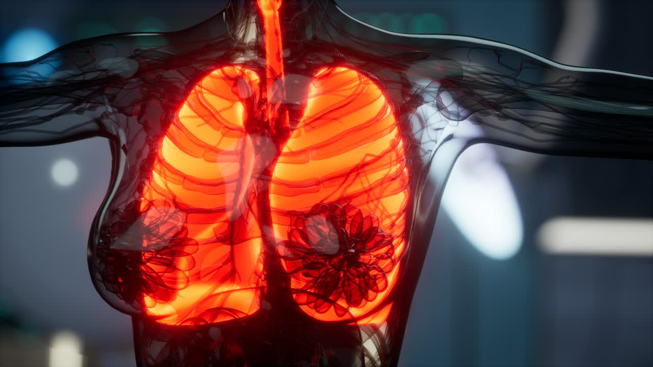 examen radiológico de pulmones humanos en laboratorio