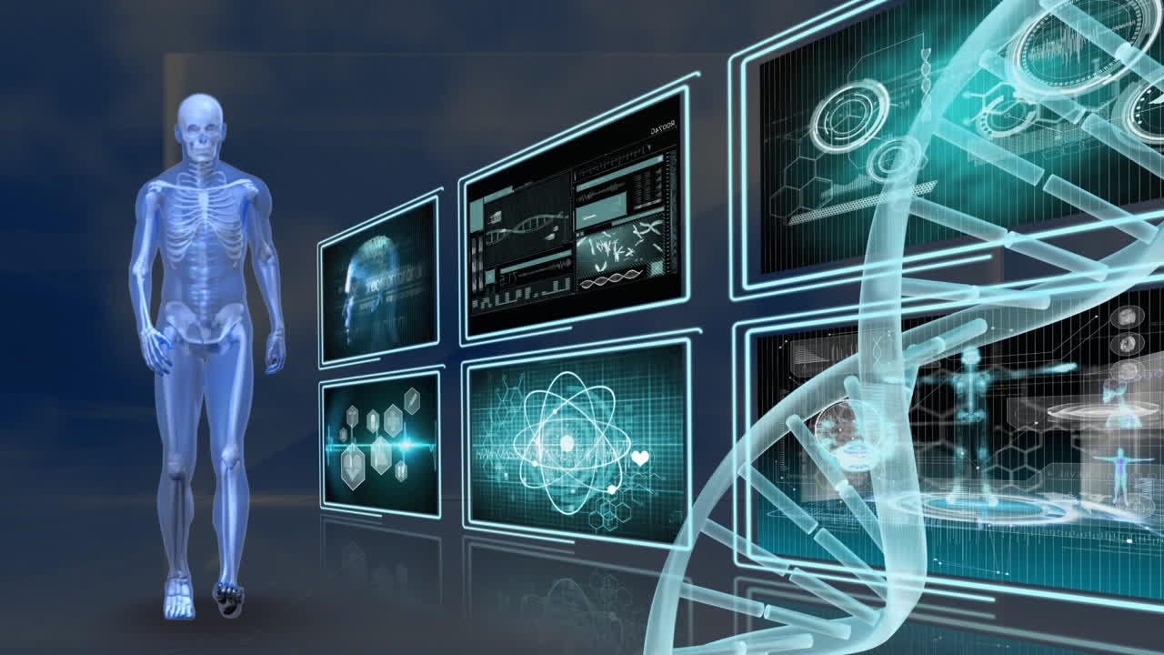 인간의 해부학과 dna