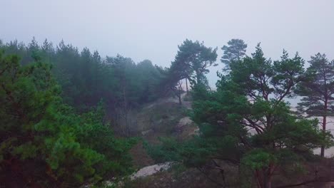 안개가 자욱한 가을날 목가적인 조감도 안개 짙은 소나무 숲, 짙은 안개가 낀 북유럽 삼림 지대, 발트 해 연안, 넓은 오름차순 드론 샷