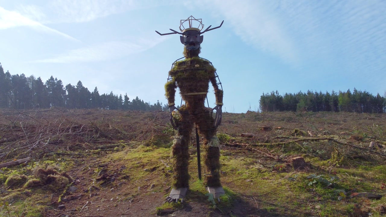 Sideways Aerial Sculpture Surrounded by Deforestation with Area of Nature Cleared for Commercial Gain. Impact of logging and environmental desctruction. Climate change, industrial impact.