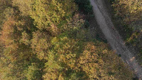 sendero de senderismo de otoño