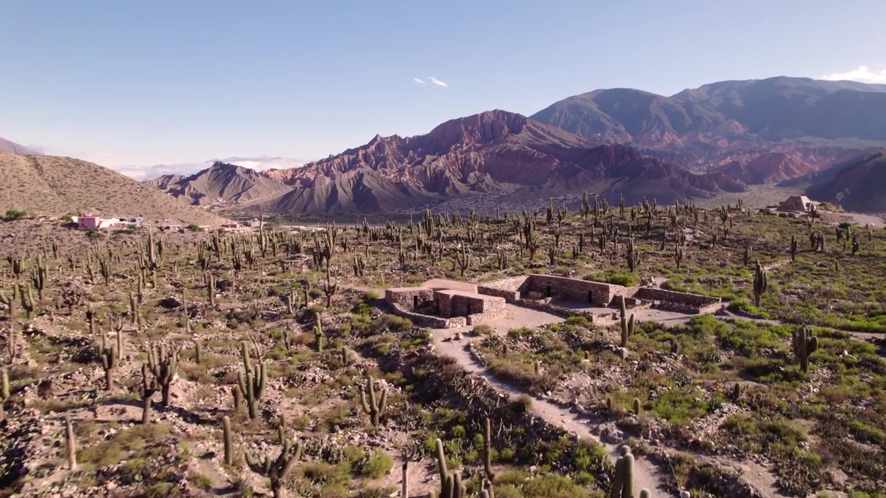 Vista aerea di un paesaggio variegato di una regione desertica d'alta quota, ricca di cactus unici sotto un cielo azzurro e limpido.