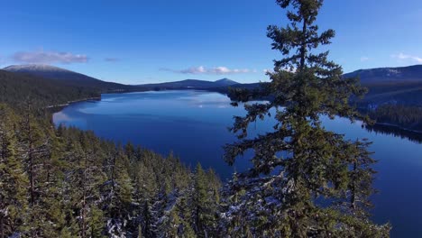 drone rise, snowy forest trees with reflective lake on sunny day, 60fps