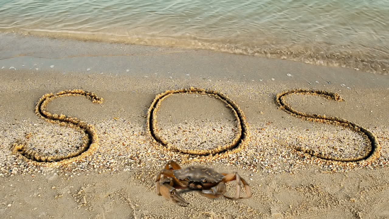Crab and an inscription on sand, the beach. The inscription SOS on sand