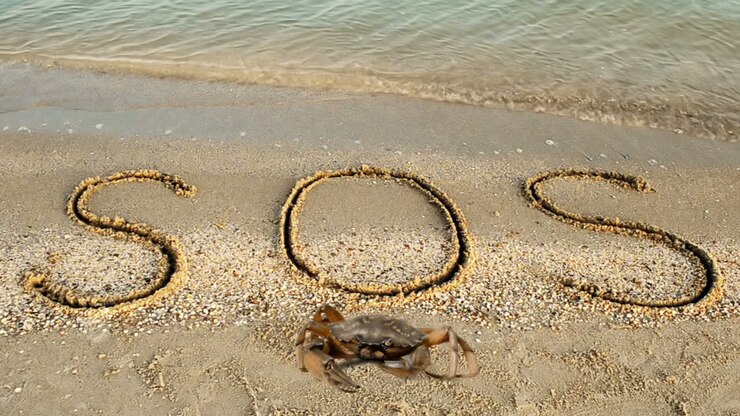 Crab and an inscription on sand, the beach. The inscription SOS on sand