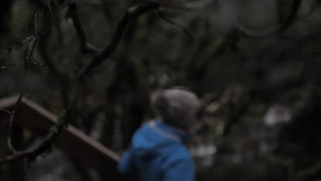 slow pan through native rain forest plants and branches to reveal girl in blue jacket walking along board walk in dense bush on overcast moody day