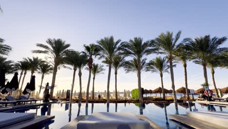tropical resort with infinity pool and palm trees at sunset
