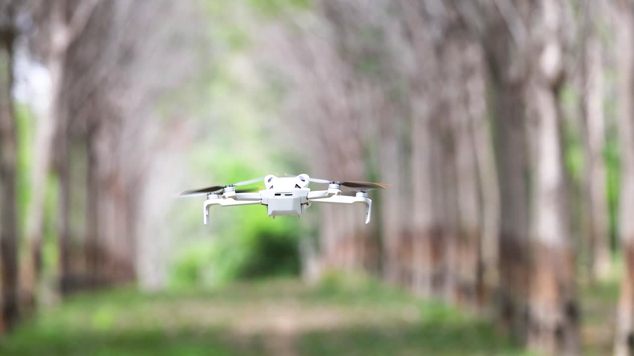 White quadcopter drone hovers and moves forward in sunlit rubber plantation, shallow depth of field